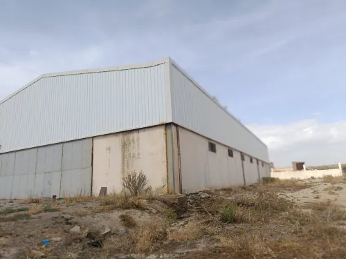 Location Hangar - Usine Sétif Ain oulmene