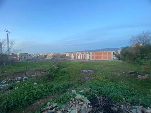 Vente Terrain Boumerdès Tidjelabine
