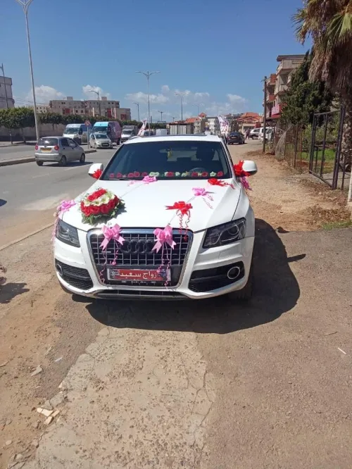Audi Q5 2011 