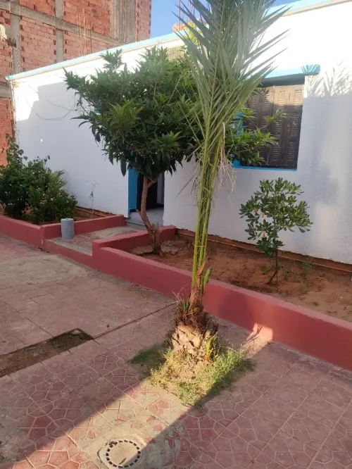 Location vacances Bungalow Mostaganem Mezghrane