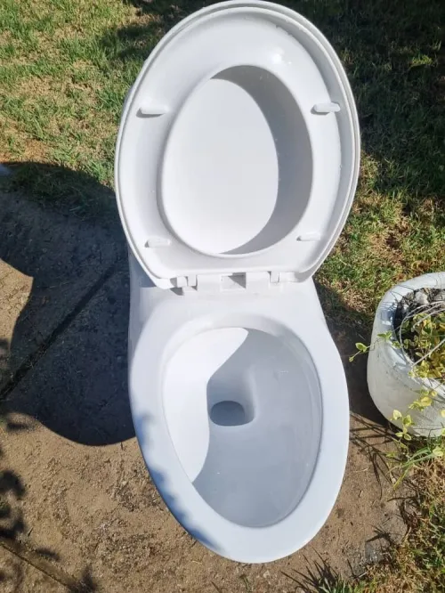 Toilette anglaise