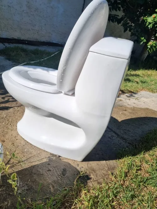 Toilette anglaise