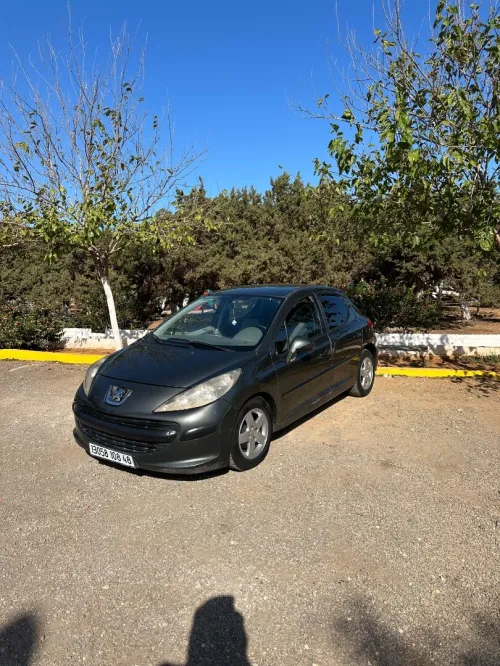 Peugeot 207 2008 Trendy