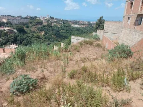 Vente Terrain Alger Bouzareah