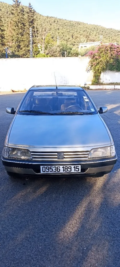 Peugeot 405 1989 GR