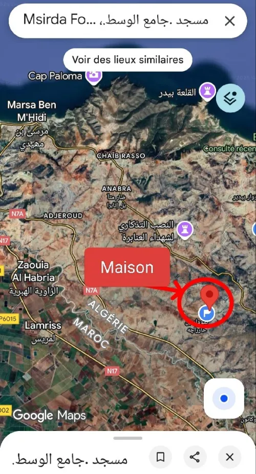 Vente Villa Niveau de villa Studio F2 Tlemcen Msirda fouaga