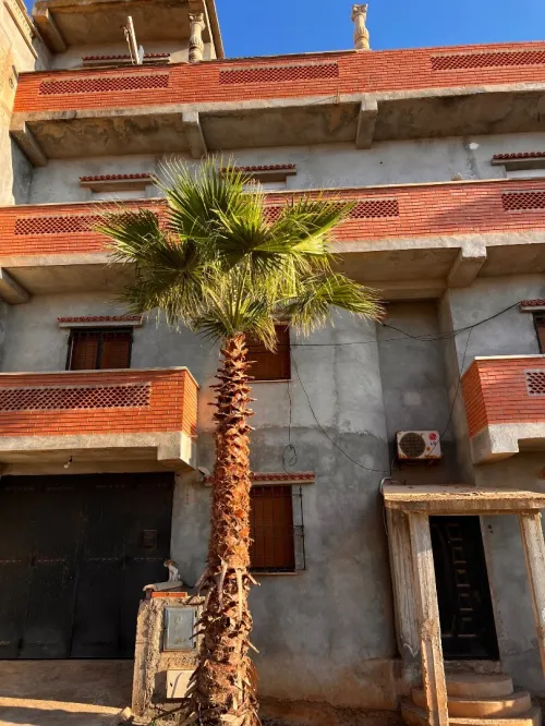Vente Villa Tipaza Ain tagourait