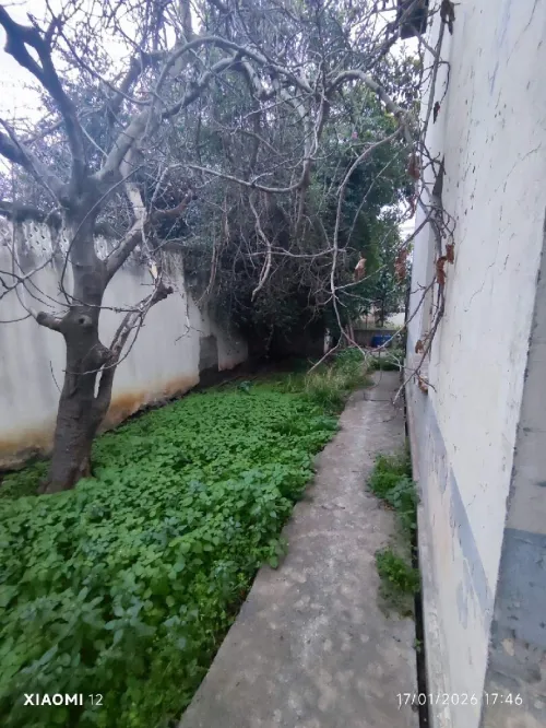 Vente Terrain Alger Rouiba