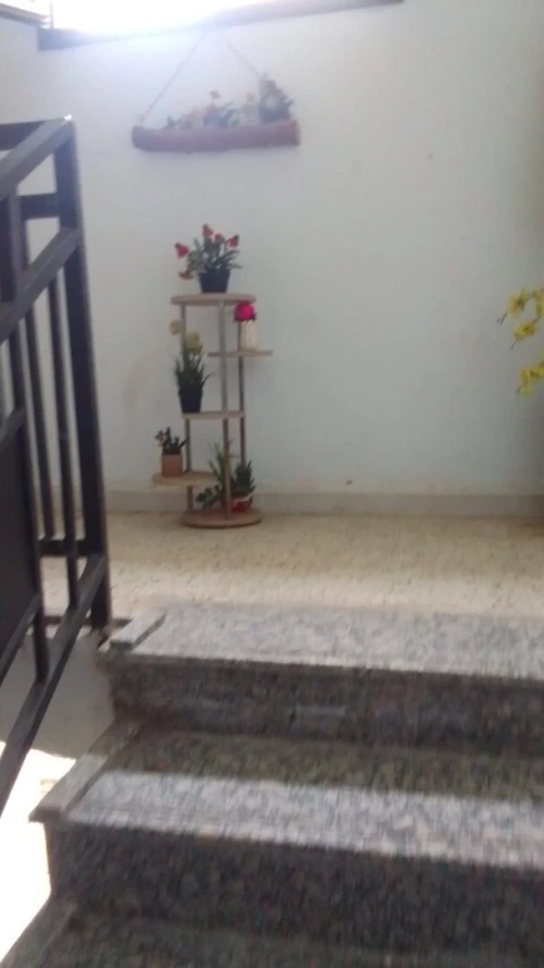 Vente Appartement F2 Alger Staoueli