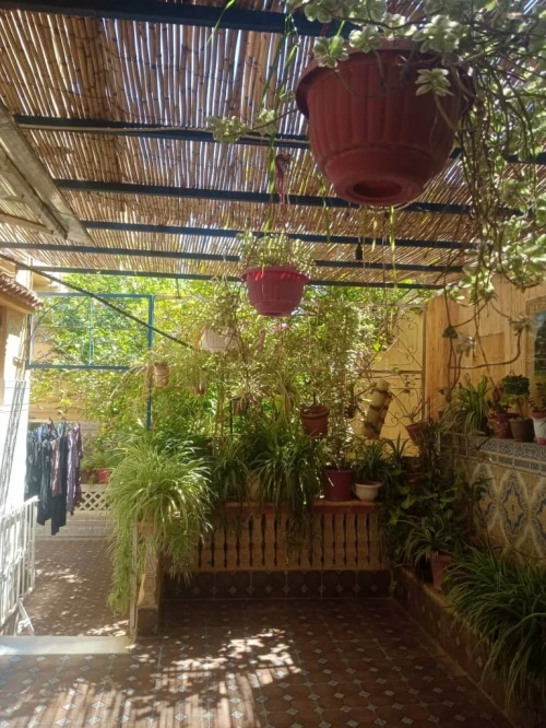 Vente Villa Alger Draria