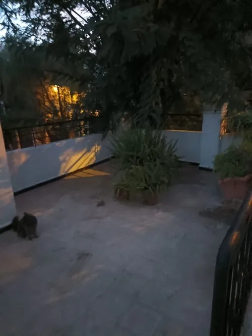 Location Niveau de villa F4 Alger Birkhadem