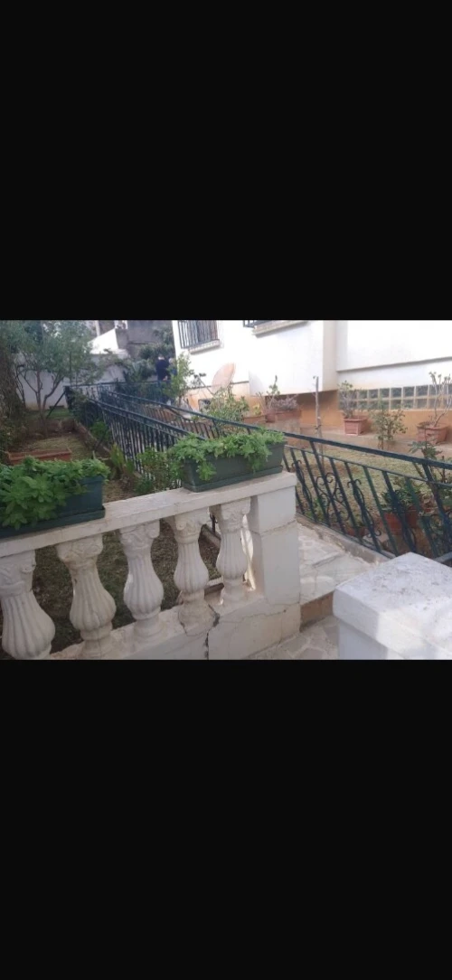 Vente Villa Alger Dely brahim