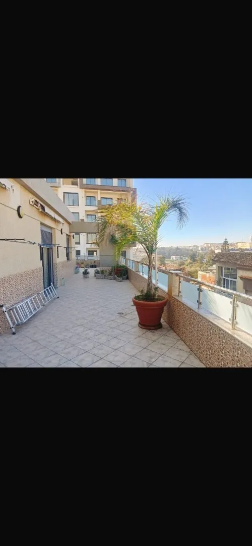 Vente Appartement F4 F5 F6 Alger Birkhadem