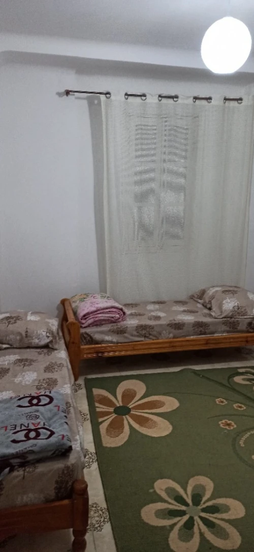 Location vacances Appartement F3 Biskra Biskra