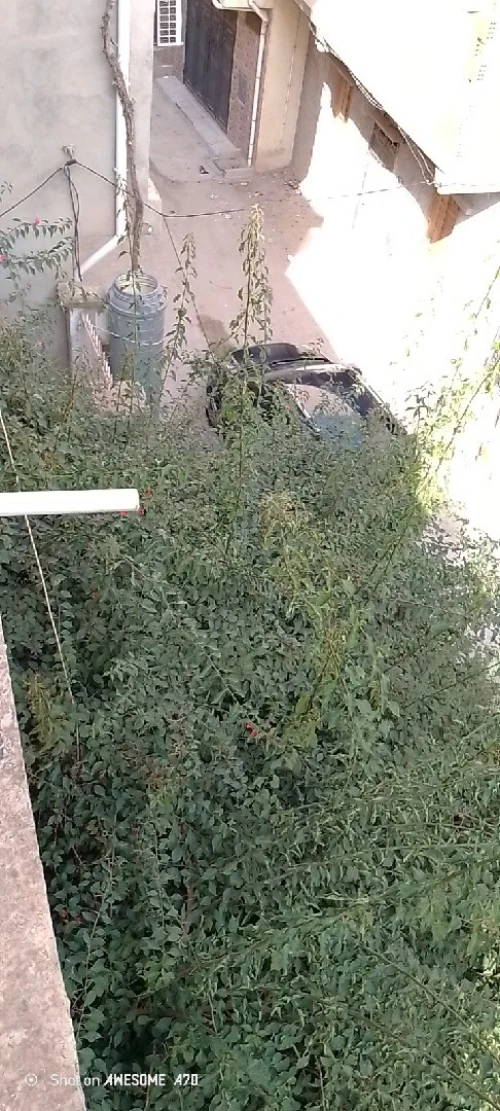 Vente Villa Blida Ouled selama