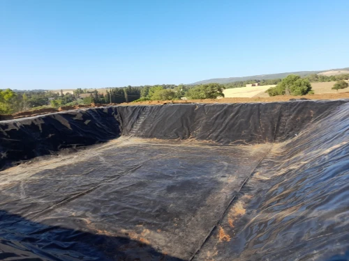 Bassin d'irrigation et d'aquaculture en geomembrane