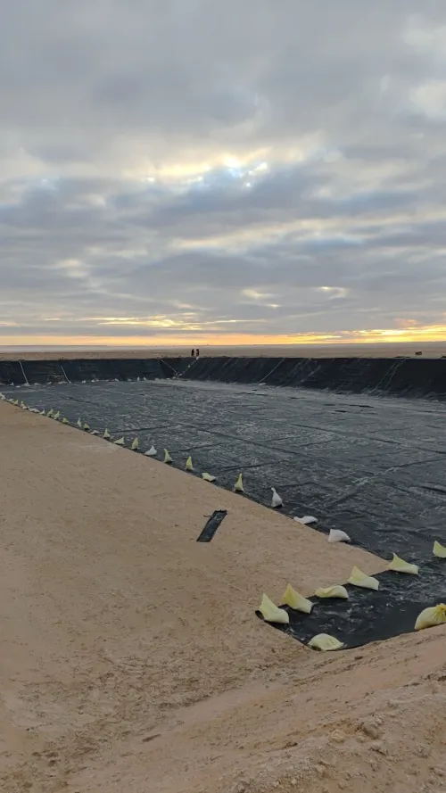 Travaux de Geomembrane