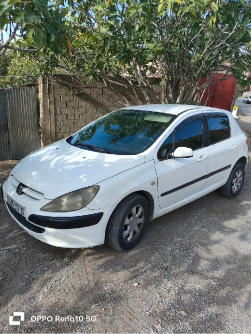Peugeot 307 2002 307