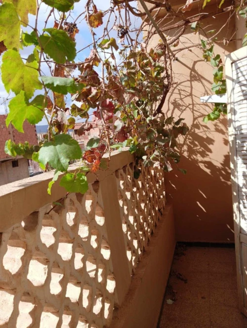 Vente Villa Saïda Ouled khaled