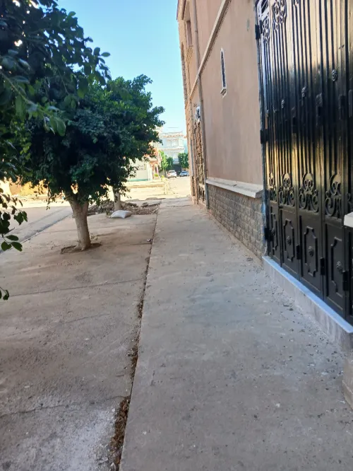 Location Local Aïn Témouchent Hammam bouhadjar