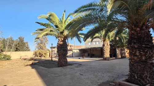 Vente Hangar - Usine Tlemcen Zenata