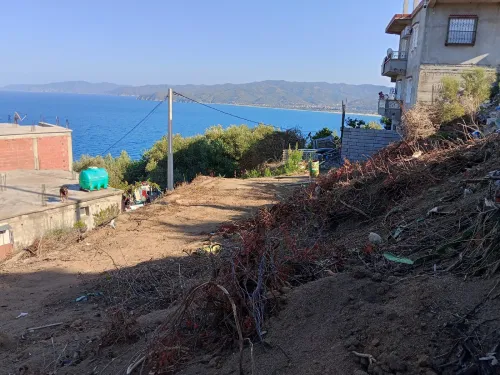Vente Terrain Skikda Collo