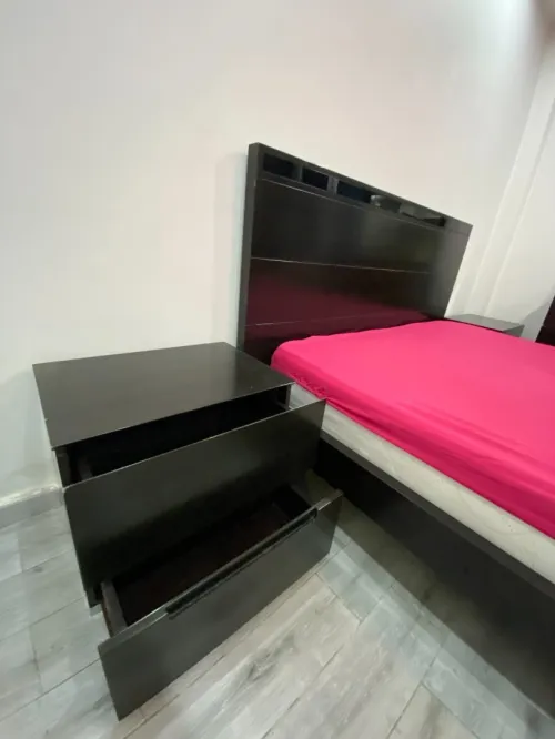 Chambre a coucher marron nègre (Malaisie)