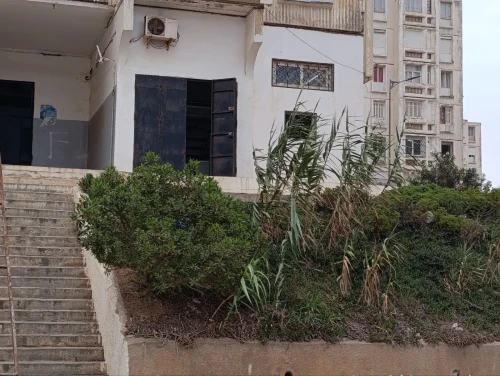 Location Local Mostaganem Mostaganem