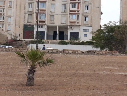 Location Local Mostaganem Mostaganem