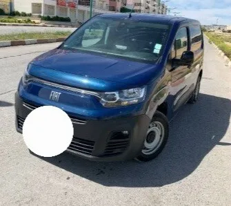 Fiat Doblo Van 2024 