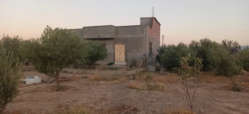 Vente Terrain Agricole Khenchela Remila