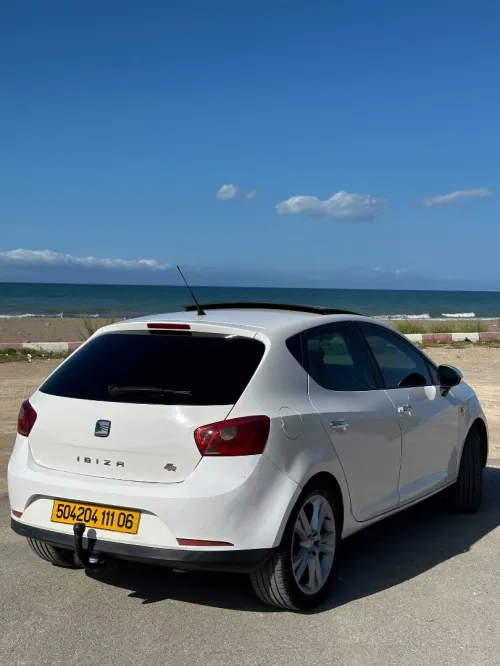 Seat Ibiza 2011 Loca
