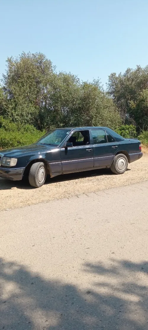 Mercedes 124 1990 250d