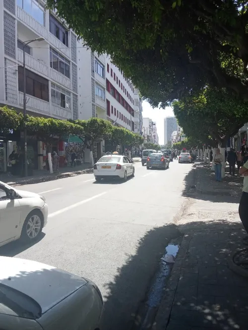 Location Local Alger El biar