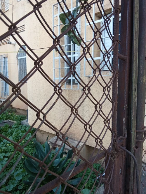 Location Appartement F4 Alger Kouba