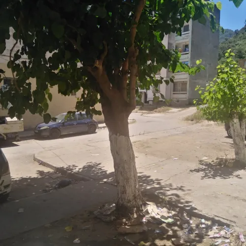Location Appartement F2 Jijel El aouana