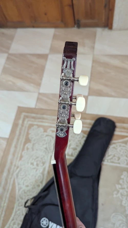 Guitare symphony avec sacoche