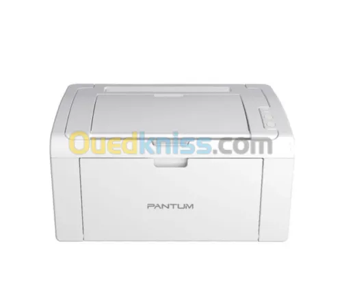 IMPRIMANTE LASER PANTUM P2509