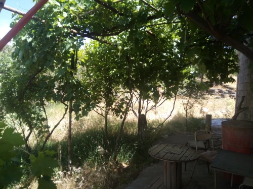 Vente Terrain Agricole Tlemcen Ain fezza