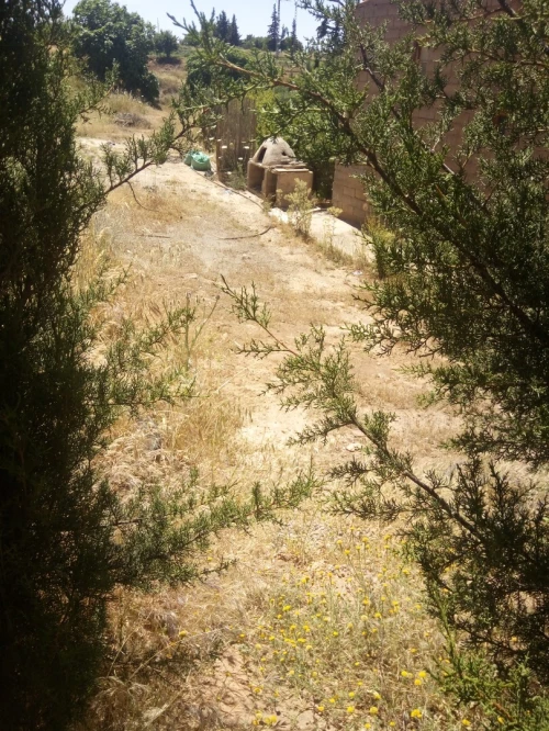 Vente Terrain Agricole Tlemcen Ain fezza
