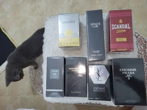 Parfums Testeurs Originaux Sous Emballage et en Célophane