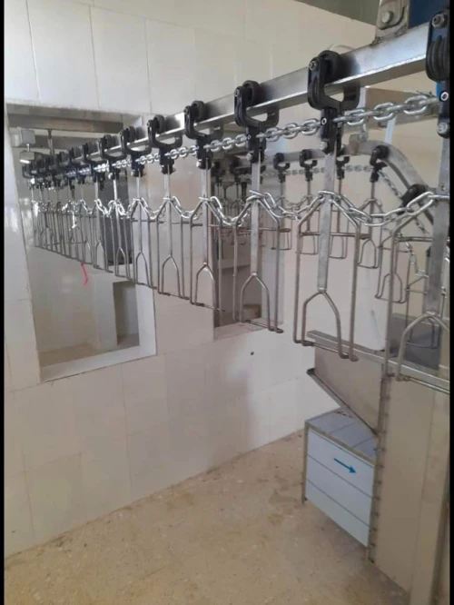 Abattoir chaine abattage poule