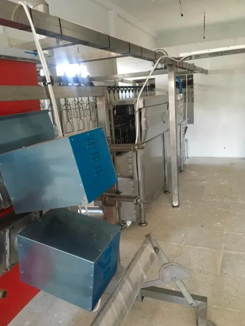 Abattoir chaine abattage poule
