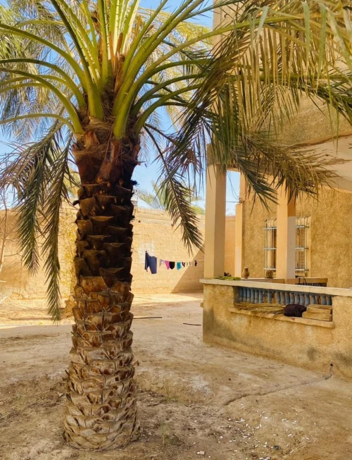 Location vacances Villa Biskra Tolga
