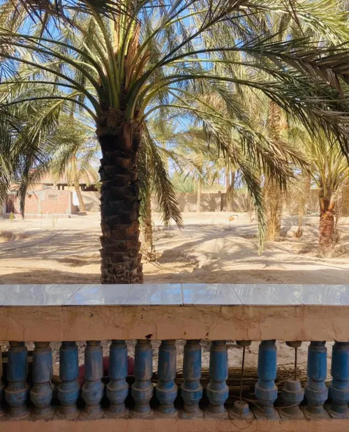 Location vacances Villa Biskra Tolga