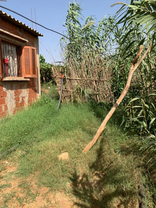 Vente Villa Mostaganem Kheireddine