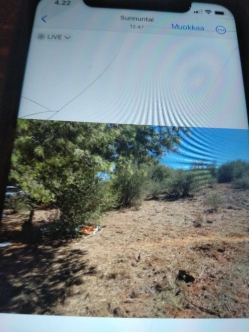 Vente Terrain Alger El achour