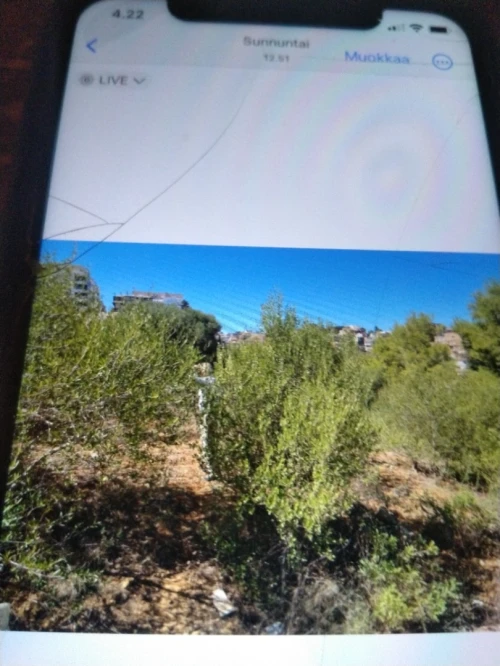 Vente Terrain Alger El achour