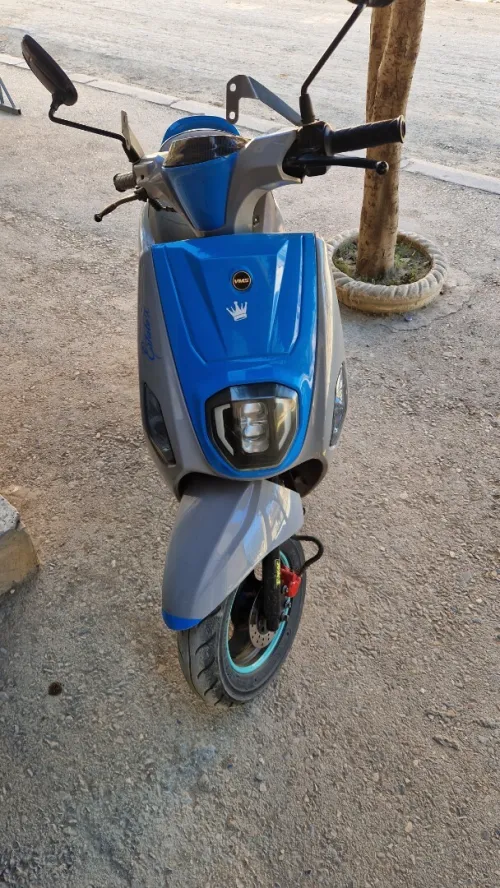Vms Cuxi estate x 2022