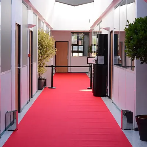  Moquette  pour Événements chez OROMAX